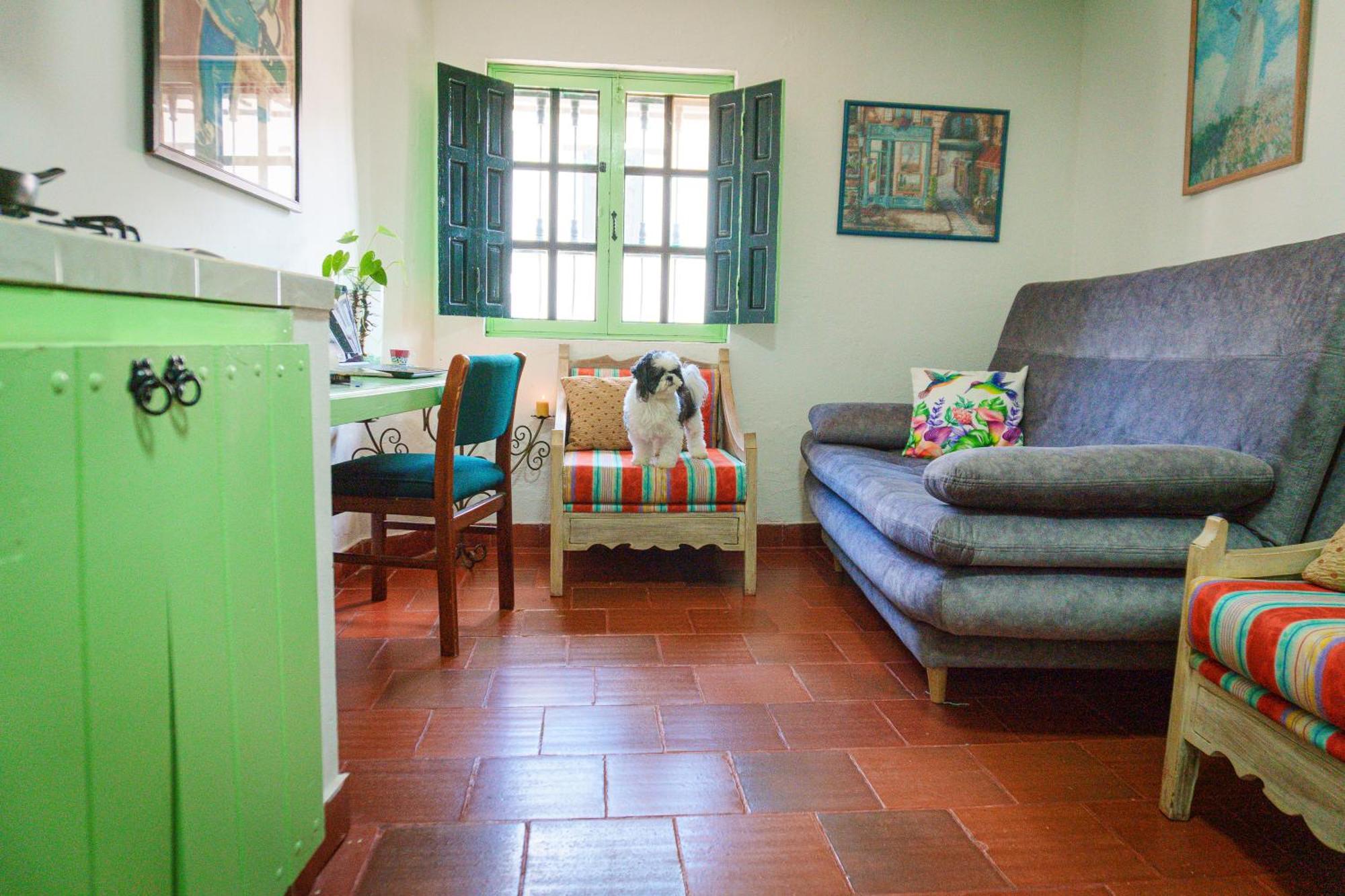 Apartamentos Y Habitaciones Le Colibri - บียาเดเลย์บา ภายนอก รูปภาพ